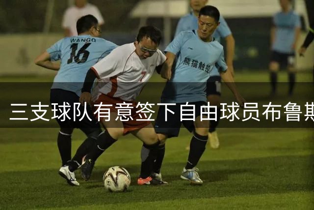 三支球队有意签下自由球员布鲁斯-布朗
