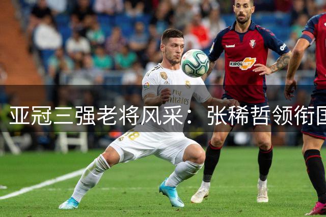 亚冠三强老将风采：张稀哲领衔国安 吴曦颜骏凌扛大旗
