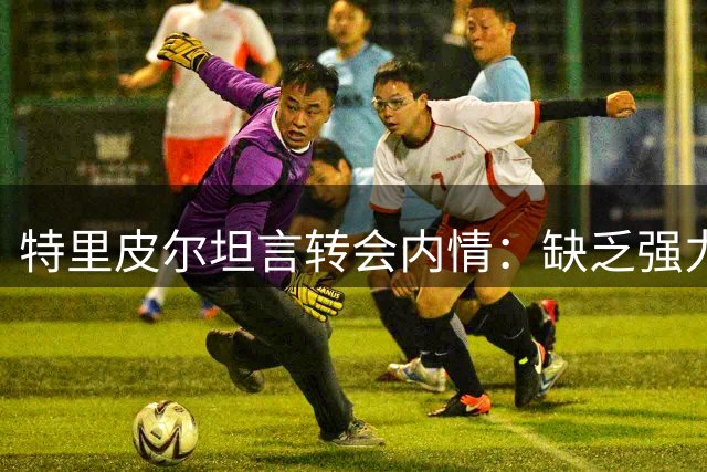 特里皮尔坦言转会内情：缺乏强力经纪人影响留队